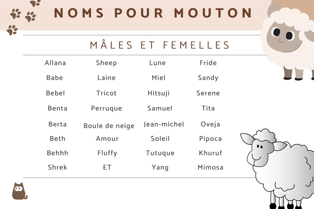 Nom de mouton