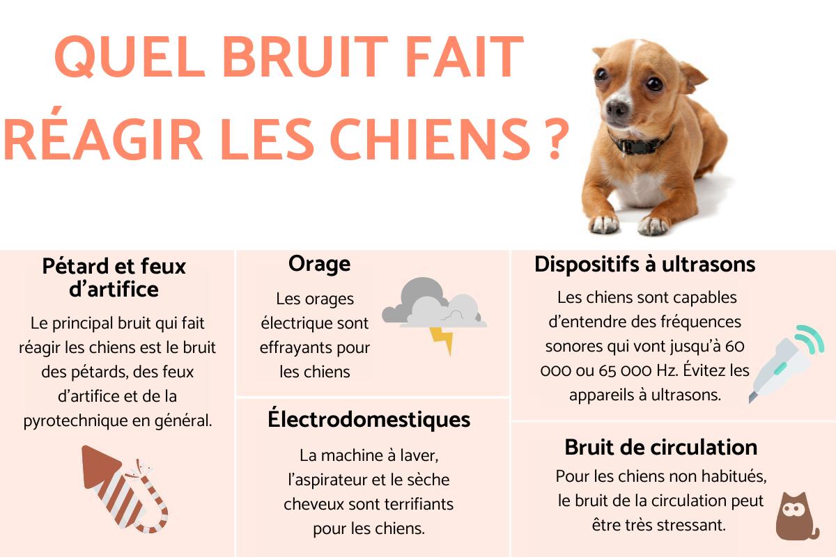 Quel bruit fait réagir les chiens ?