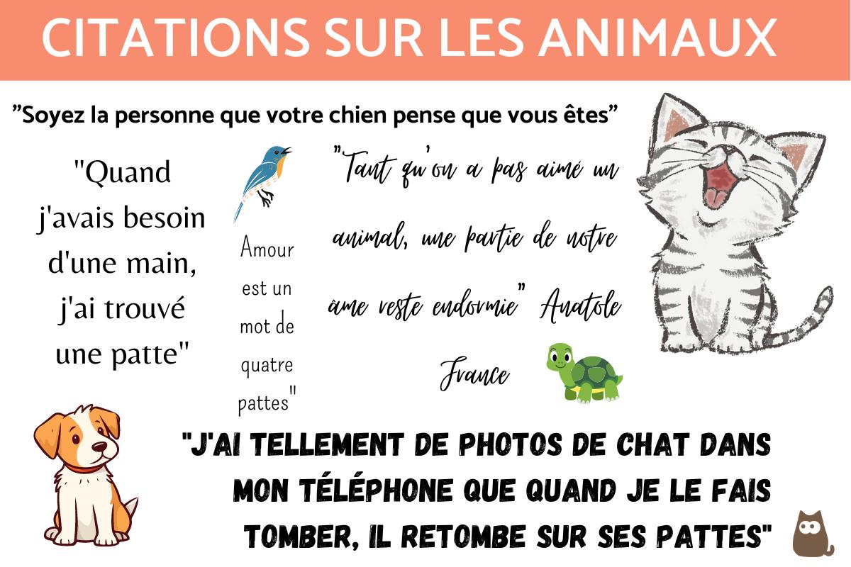 Citation sur les animaux