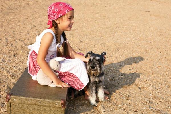 Types de schnauzer : mini, moyen, géant -