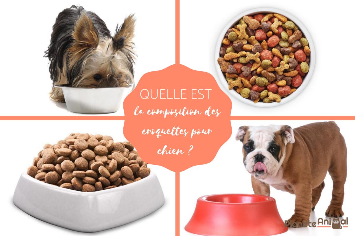 Composition des croquettes pour chien