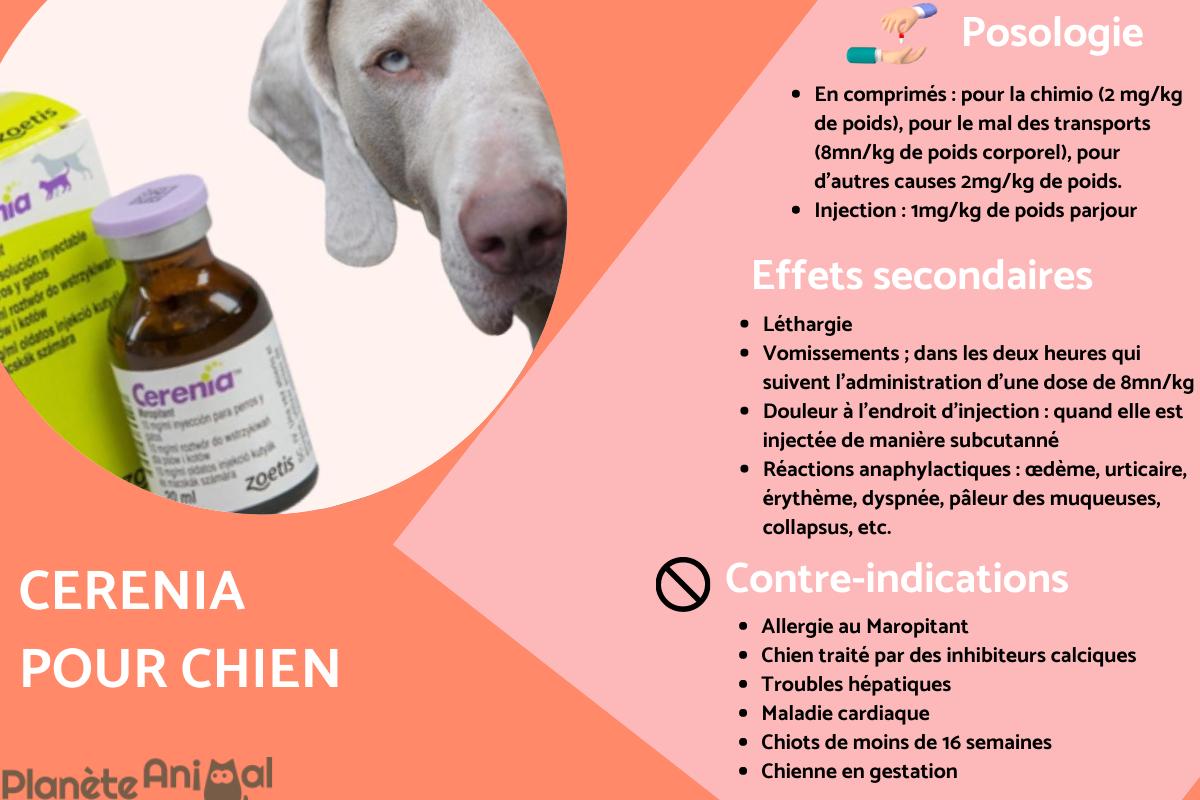 Cerenia pour chien Effets secondaires, usage et posologie