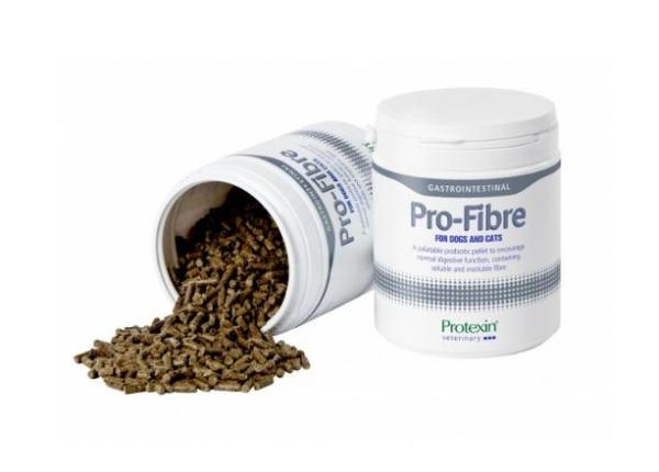 Fibre pour chat : aliments et importance - Suppléments en fibre pour chats, quand sont-ils nécessaires ?