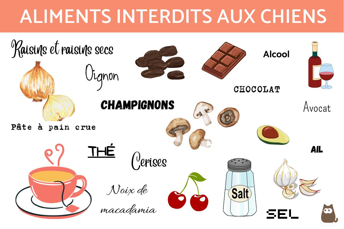 Aliments interdits aux chiens