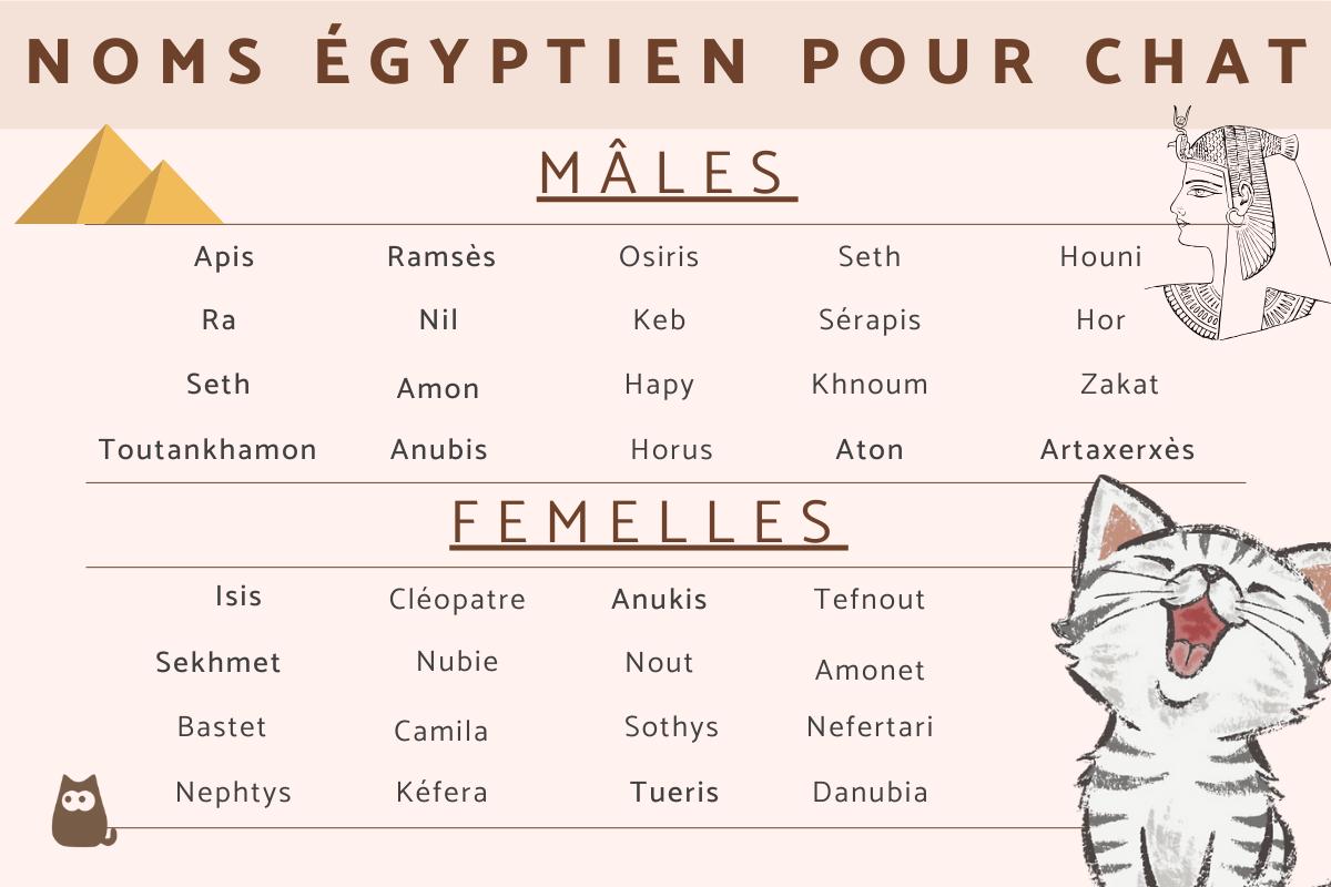 Noms égyptiens pour chats