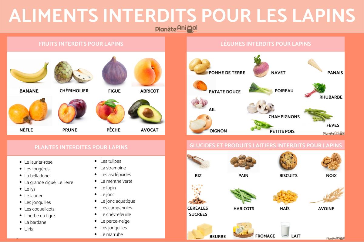 Les aliments interdits pour les lapins