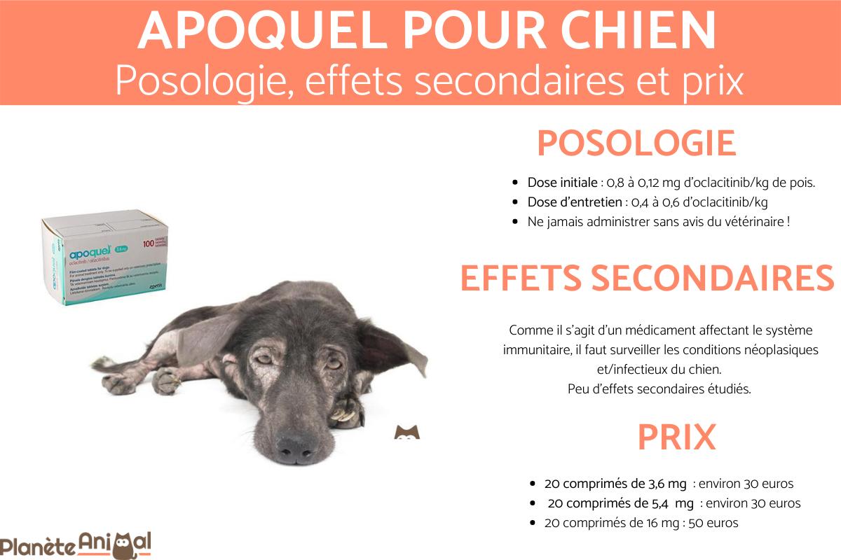 APOQUEL pour chien - Posologie, effets secondaires et prix