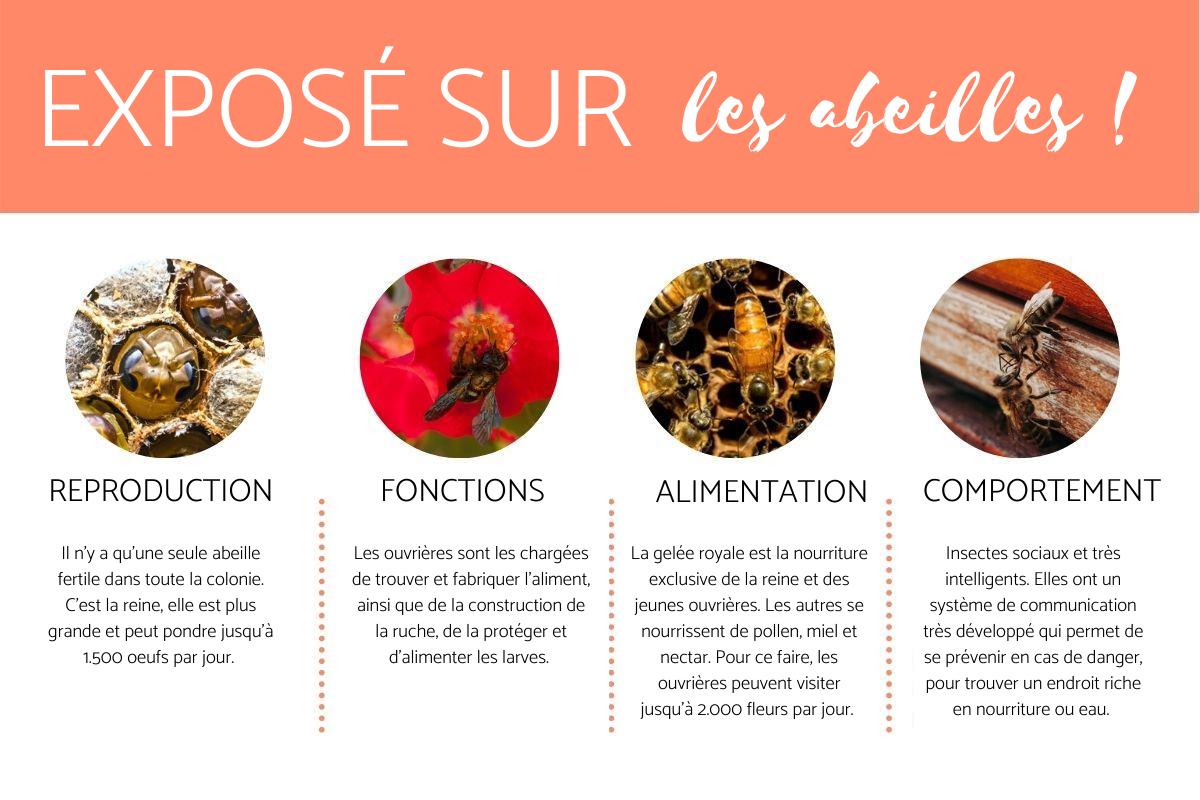 Exposé sur les abeilles