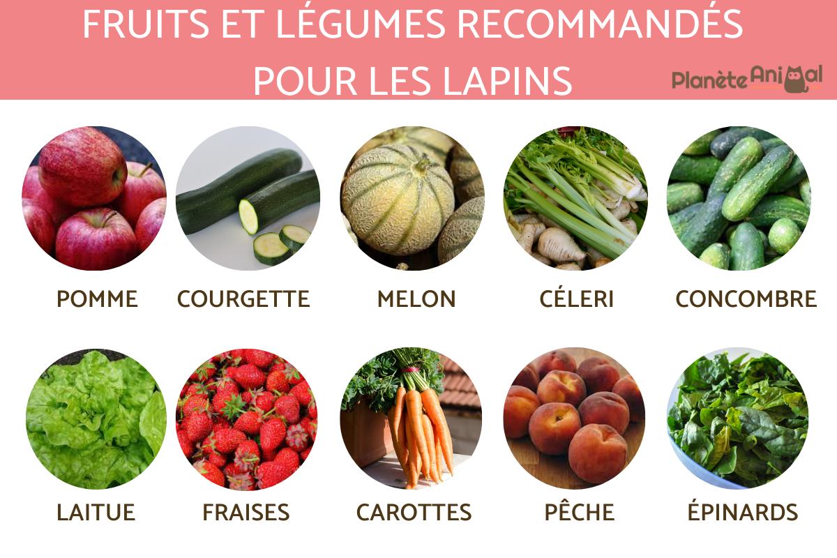 Fruits et légumes recommandés pour le lapin