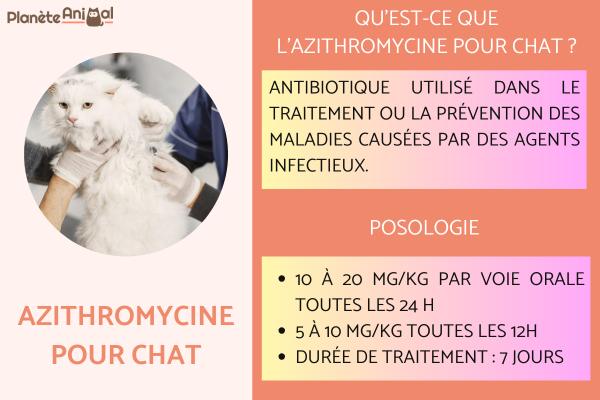 Azithromycine pour chat - Posologie et effets secondaires