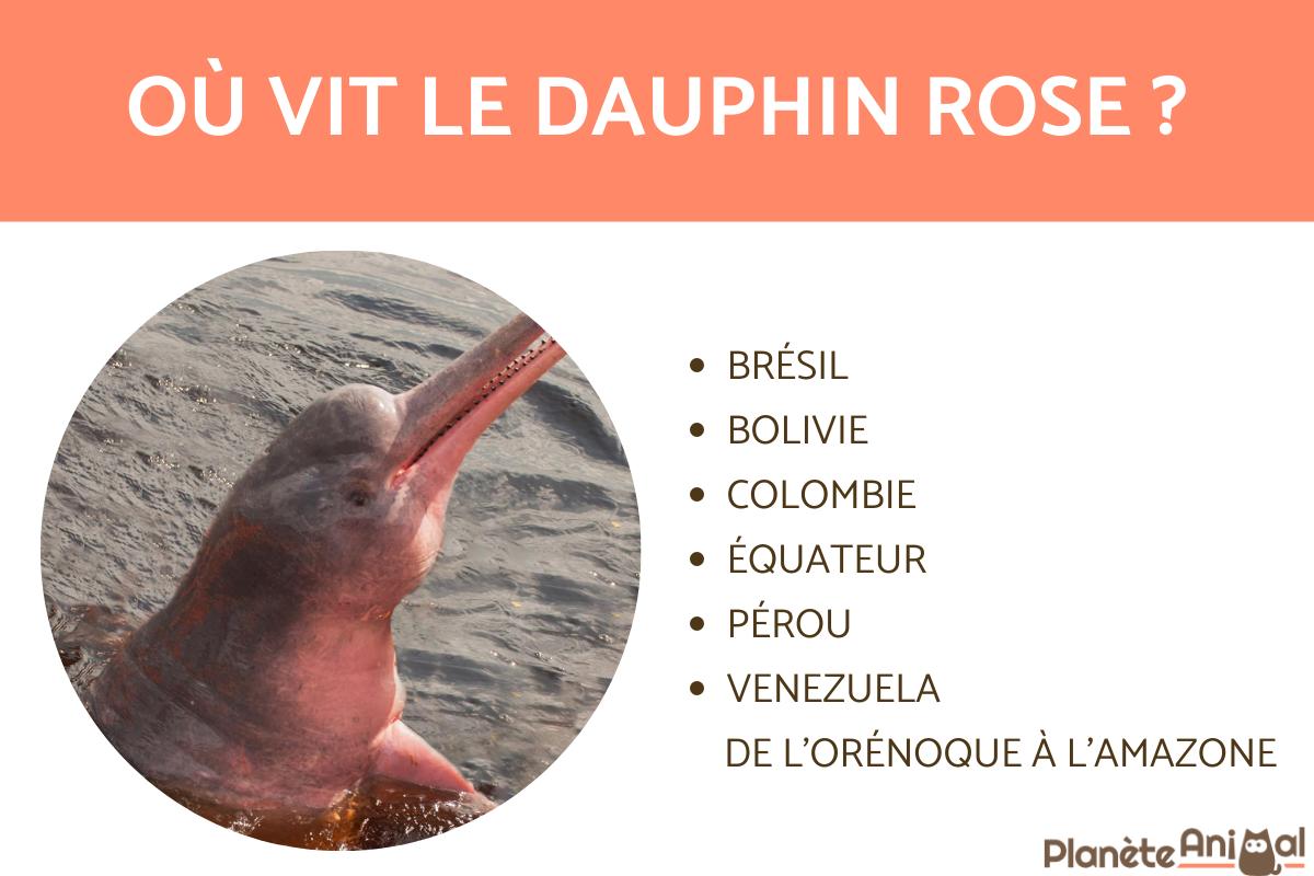 Où vit le dauphin rose ?