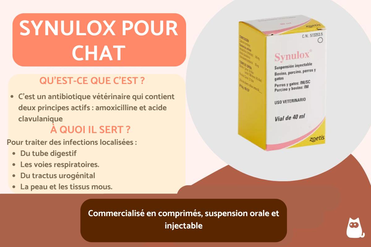 Synulox pour chat : posologie et effets secondaires
