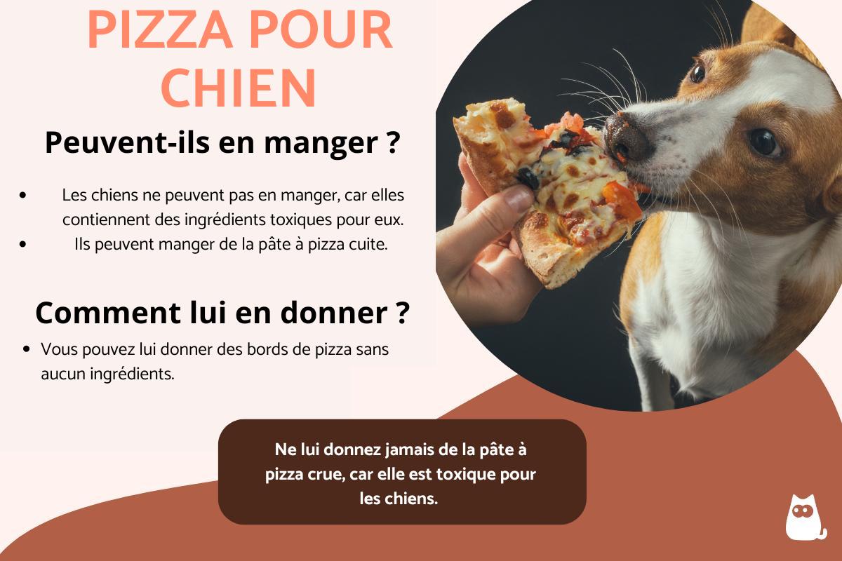 Mon chien peut-il manger de la pizza ?