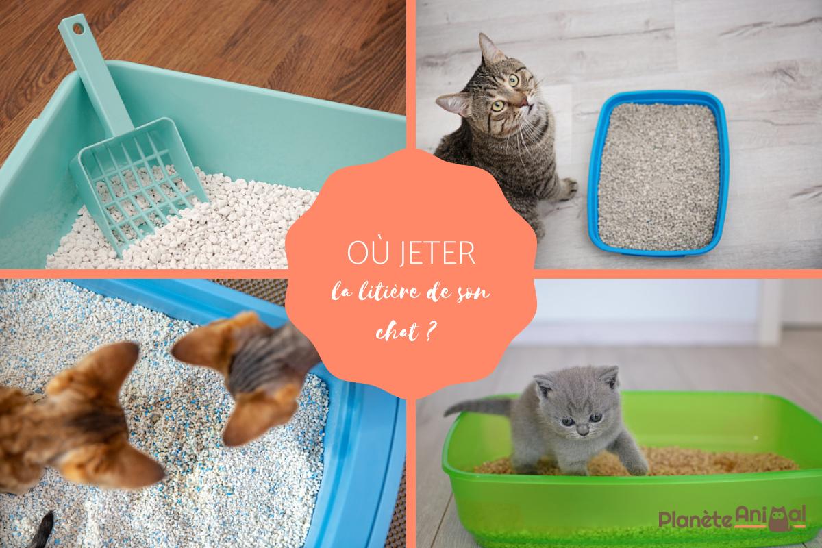 Où jeter la litière du chat