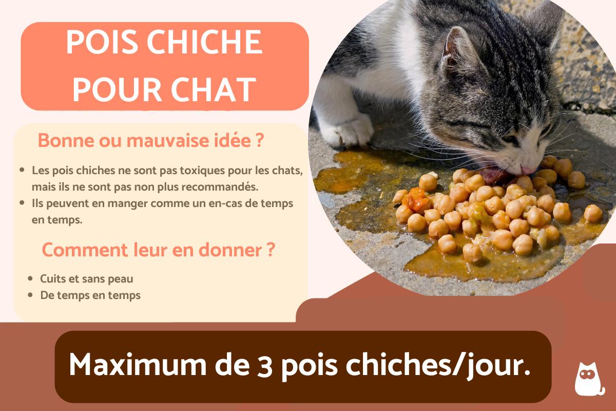 Mon chat peut-il manger des pois chiches ?