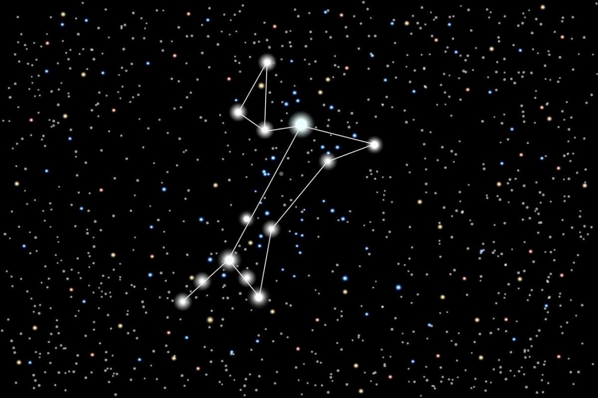 Noms d'étoiles pour chien