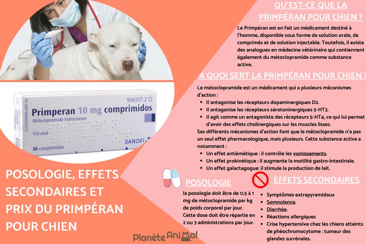 Primpéran pour chien - Prix, posologie et utilisations