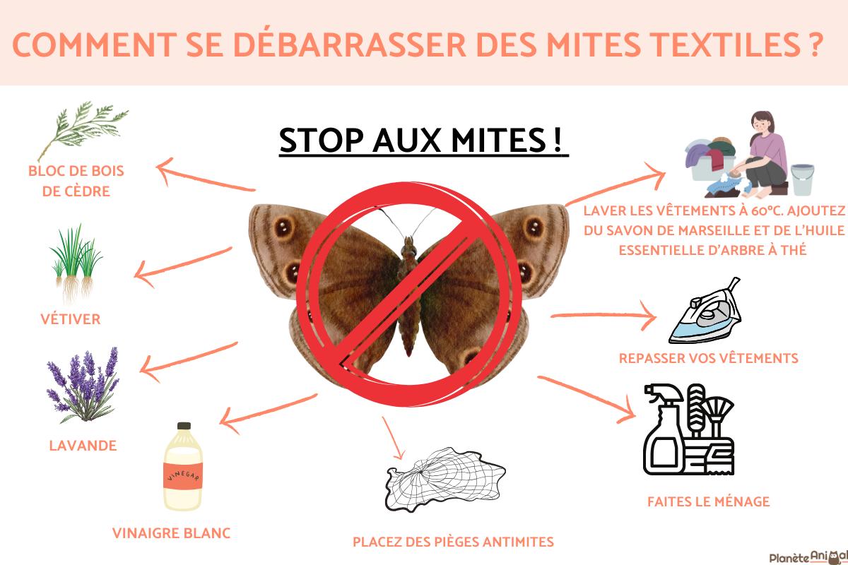 Comment se débarrasser des mites textiles
