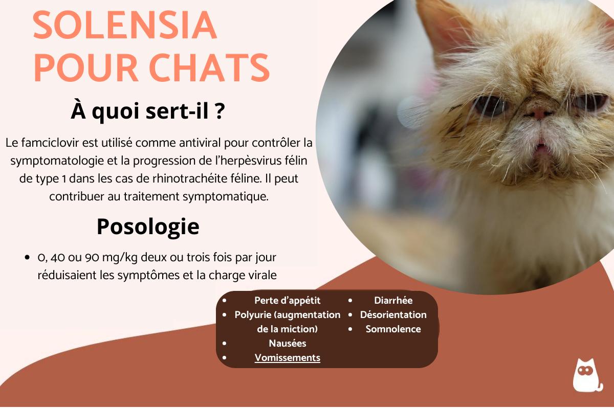 Famciclovir pour chat - Posologie, usages et effets secondaires