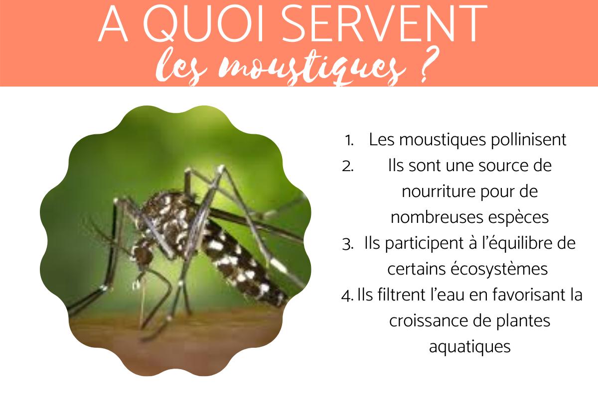 A quoi servent les moustiques ?