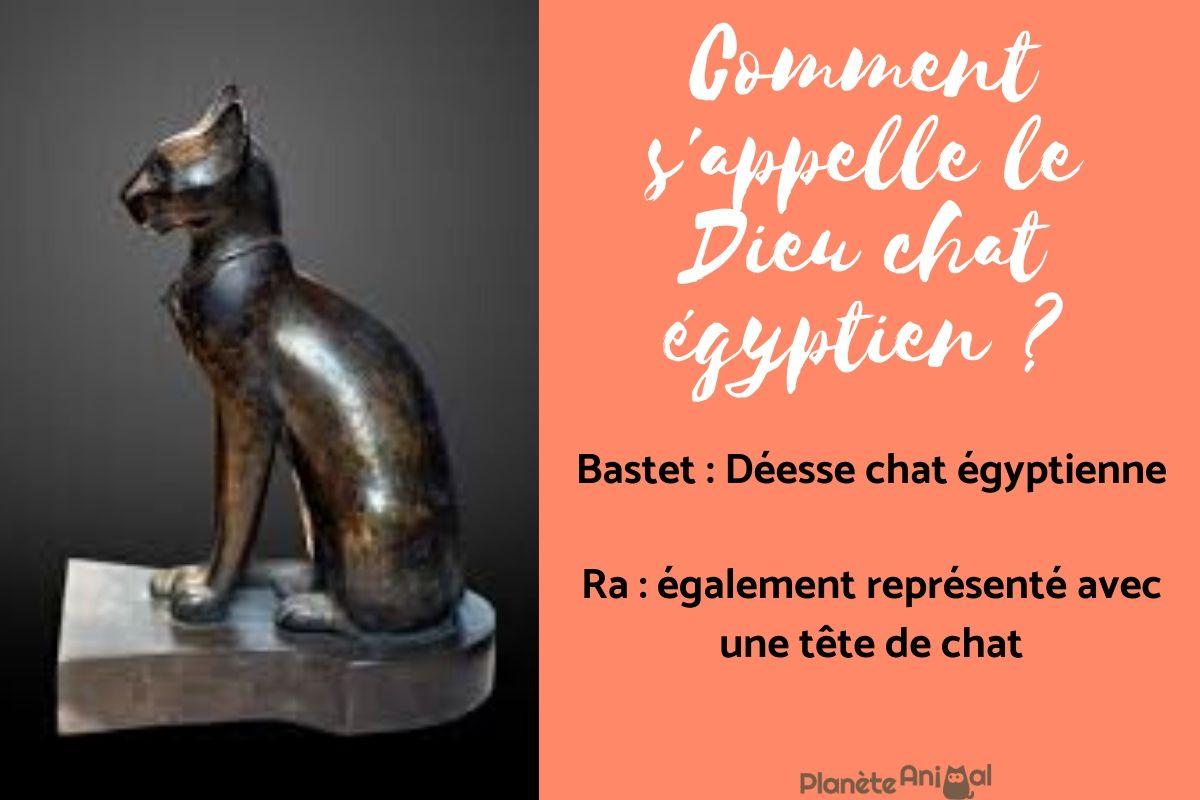 Quel est le nom du dieu chat égyptien ?