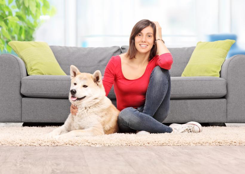 Mon chien a les yeux qui coulent Causes, symptômes et traitement