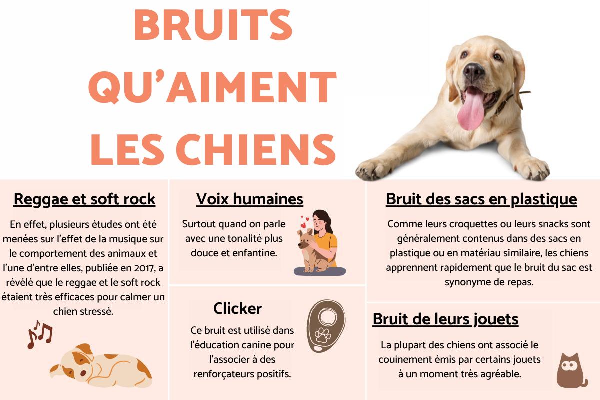 Bruit que les chiens aiment