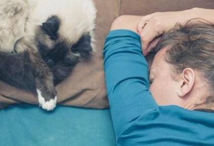 Est-ce bon de dormir avec son chat