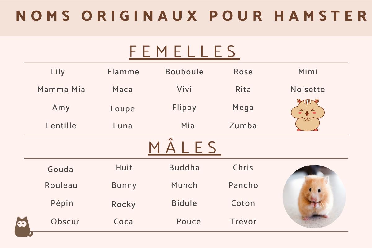 Noms originaux pour hamster