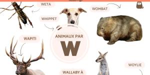 Animaux commençant par W