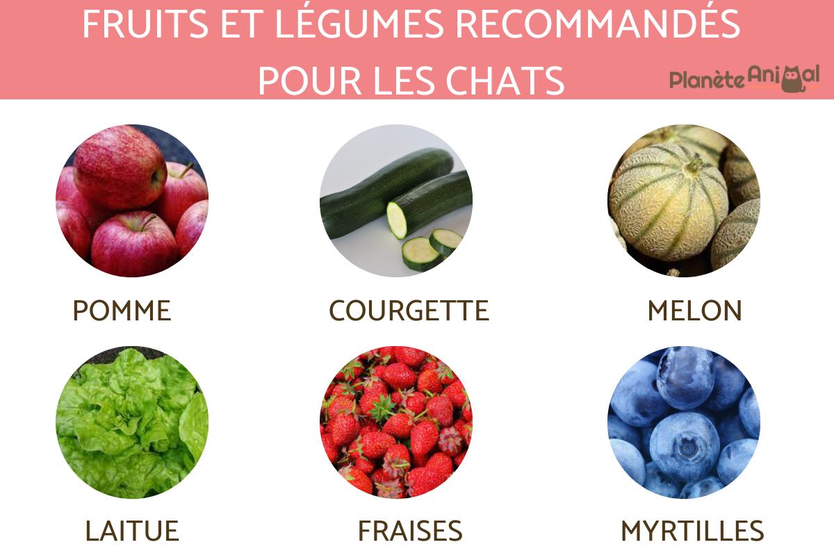 Fruits et légumes recommandés pour les chats