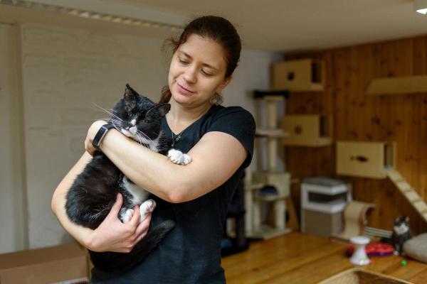 Je ne peux plus garder mon chat, que faire ? - Quatrième solution : le mettre en adoption