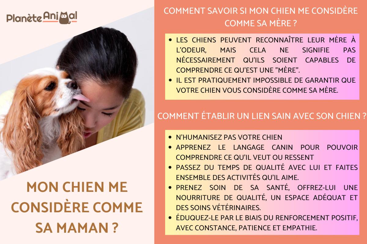 Mon chien me considère comme sa maman ?