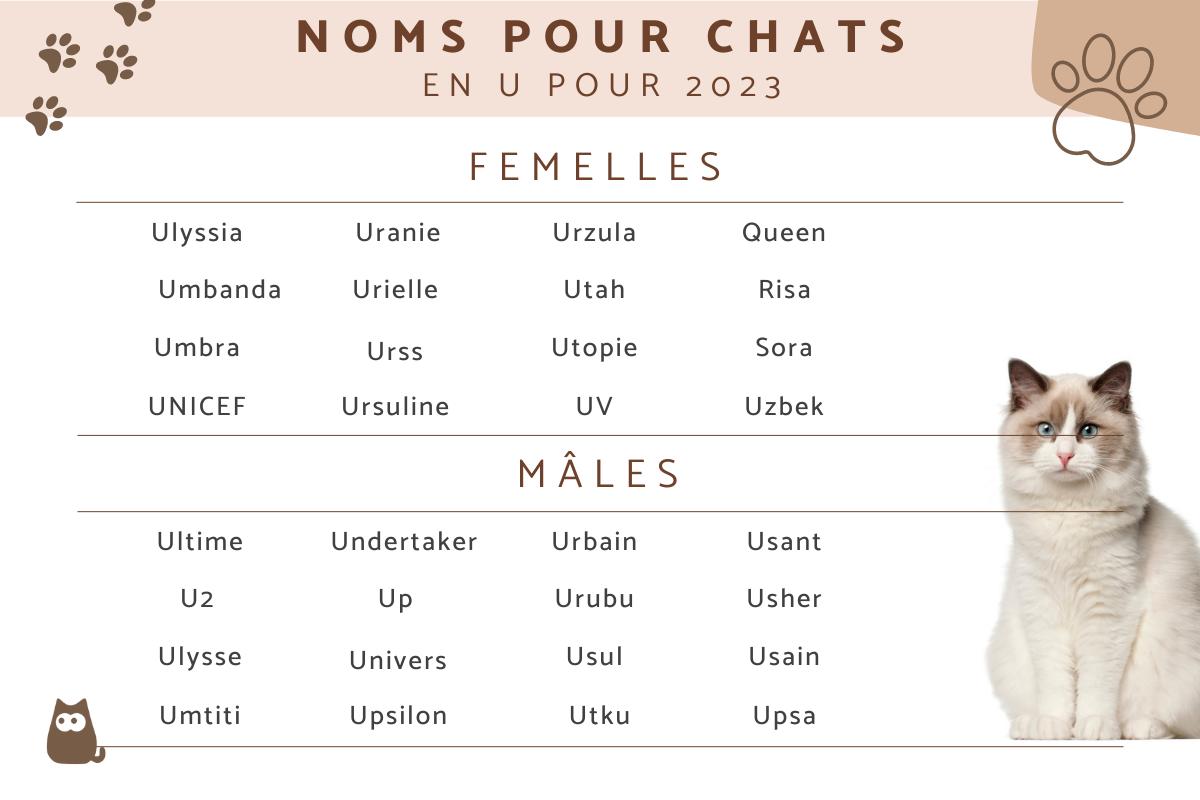 Nom de chat en U pour 2023