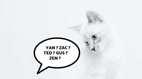 Noms de chats en 3 lettres - Mâles et femelles