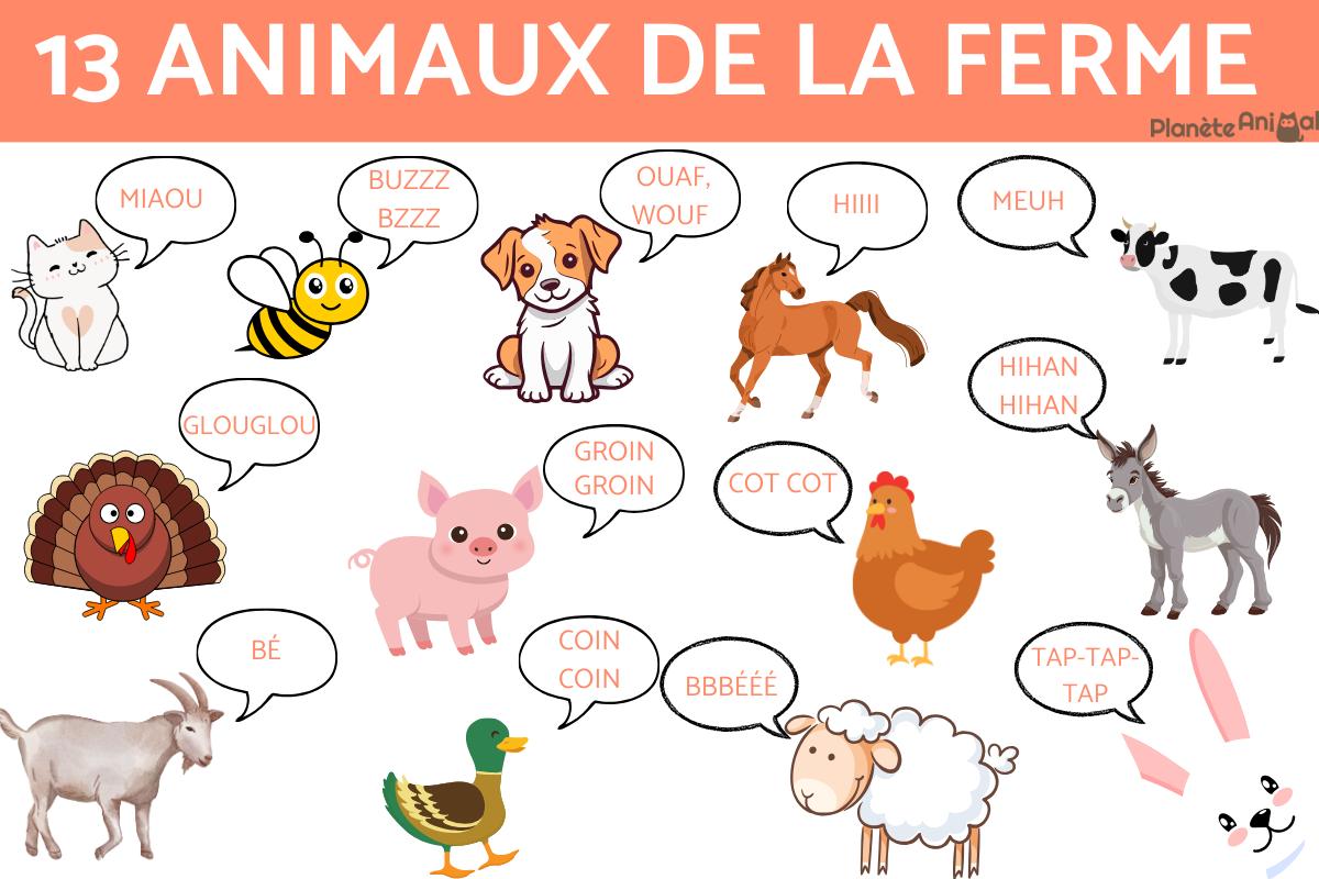 Animaux de la Ferme - Top 13
