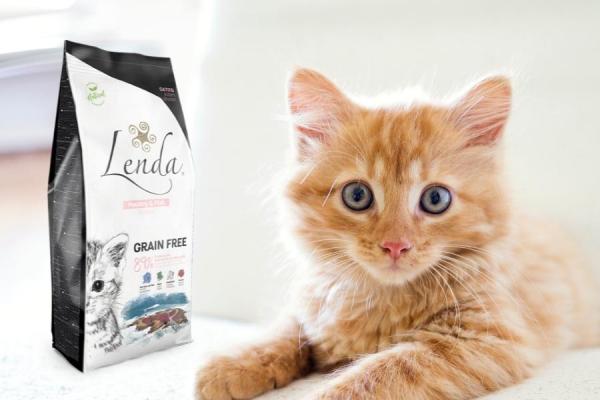 Que mange un chaton de 2 mois ? - Que donner à manger à un chaton de 2 mois ?