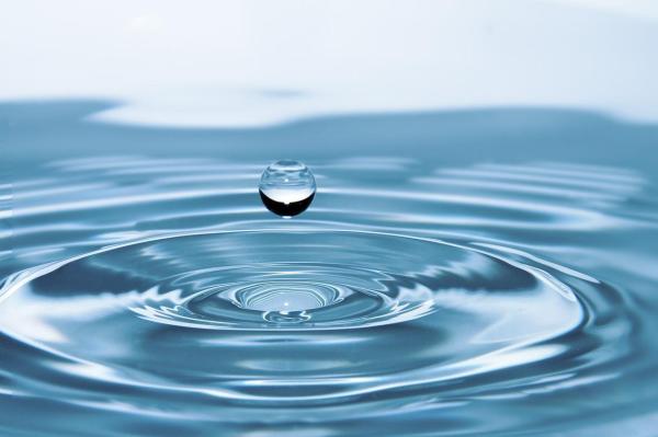 Produits naturels pour laver son chien - L'eau