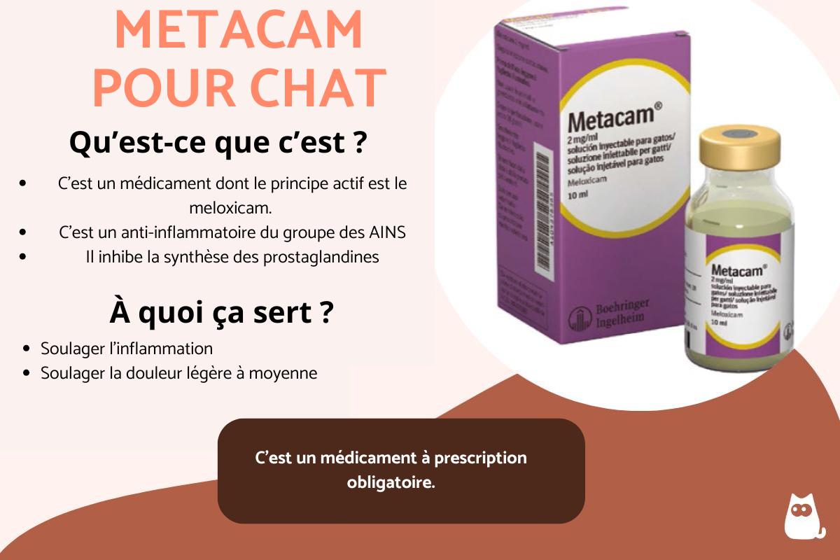 Metacam pour chat : effets secondaires, prix et posologie
