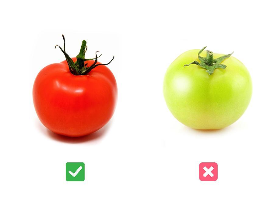 Peuton donner de la tomate à un chien ? ALIMENTS TOXIQUES, RISQUES ET CONSEILS
