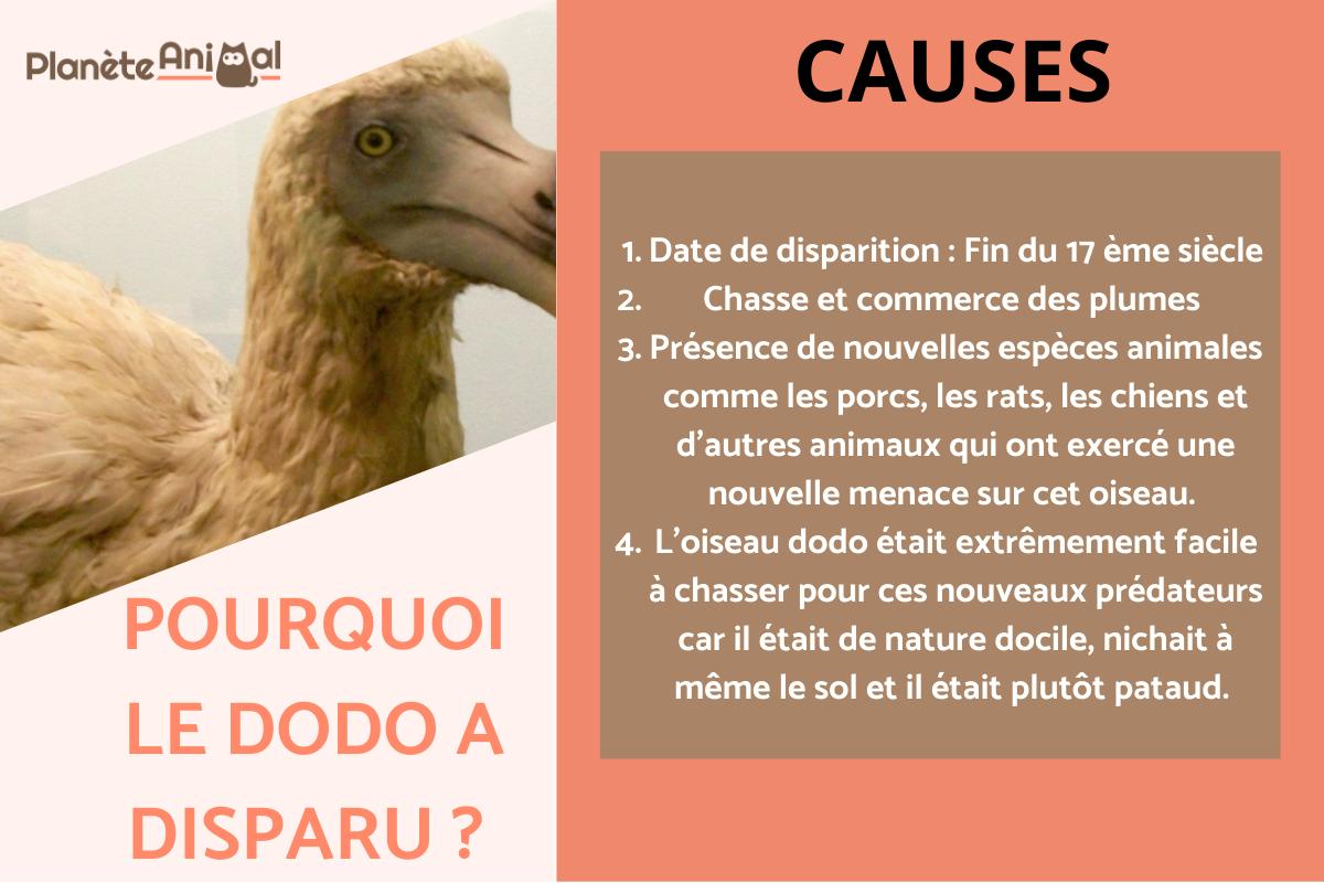 Pourquoi l'oiseau dodo a disparu