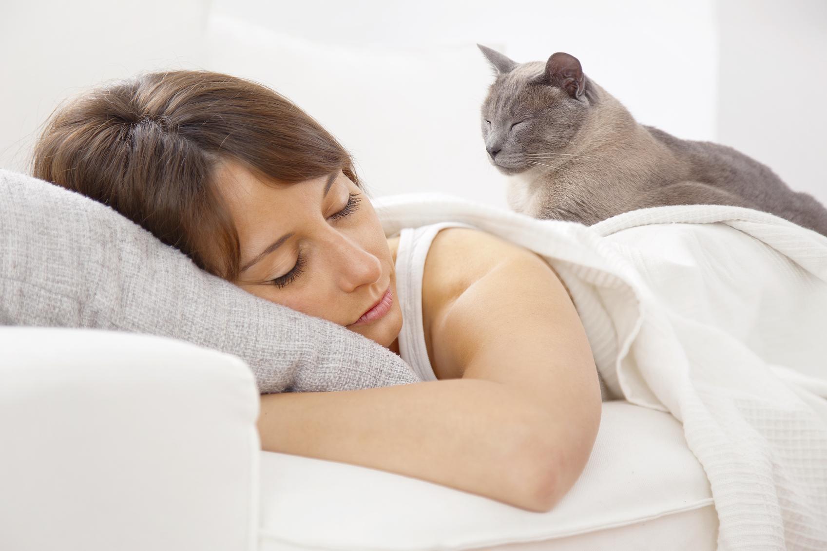 5 RAISONS pour lesquelles MON CHAT DORT avec MOI Explications et vidéo