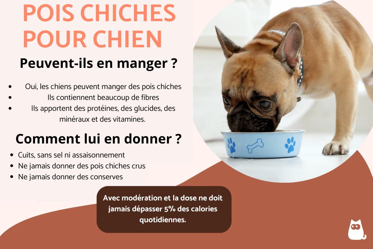Peut-on donner des pois chiches à un chien ?
