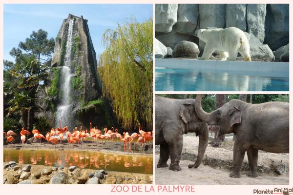 Meilleurs zoos de France - Zoo de La Palmyre (Les Mathes, Royan)