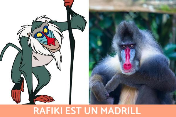 Animaux du Roi Lion - Quel animal est Rafiki ?