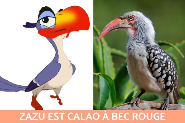 Animaux du Roi Lion - Quel animal est Zazu ?