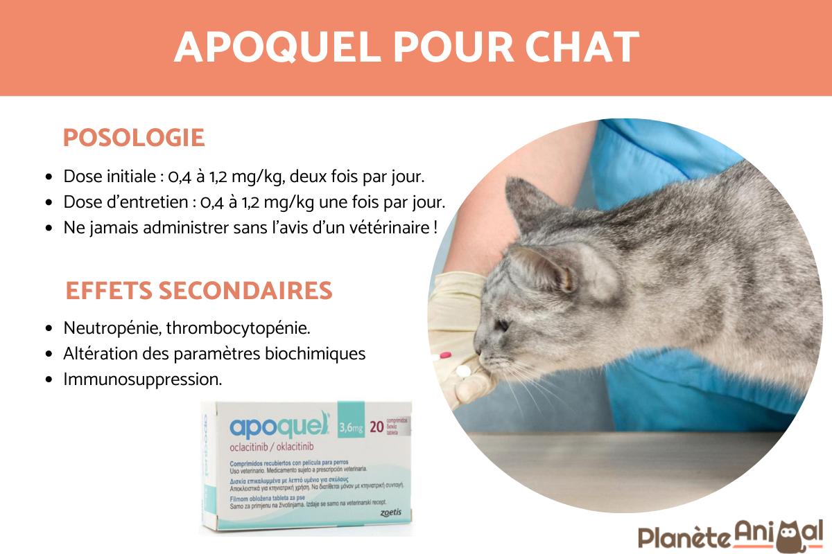 Apoquel pour chat - Posologie et effets secondaires