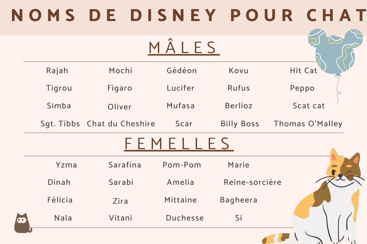 Noms de personnages Disney pour chats