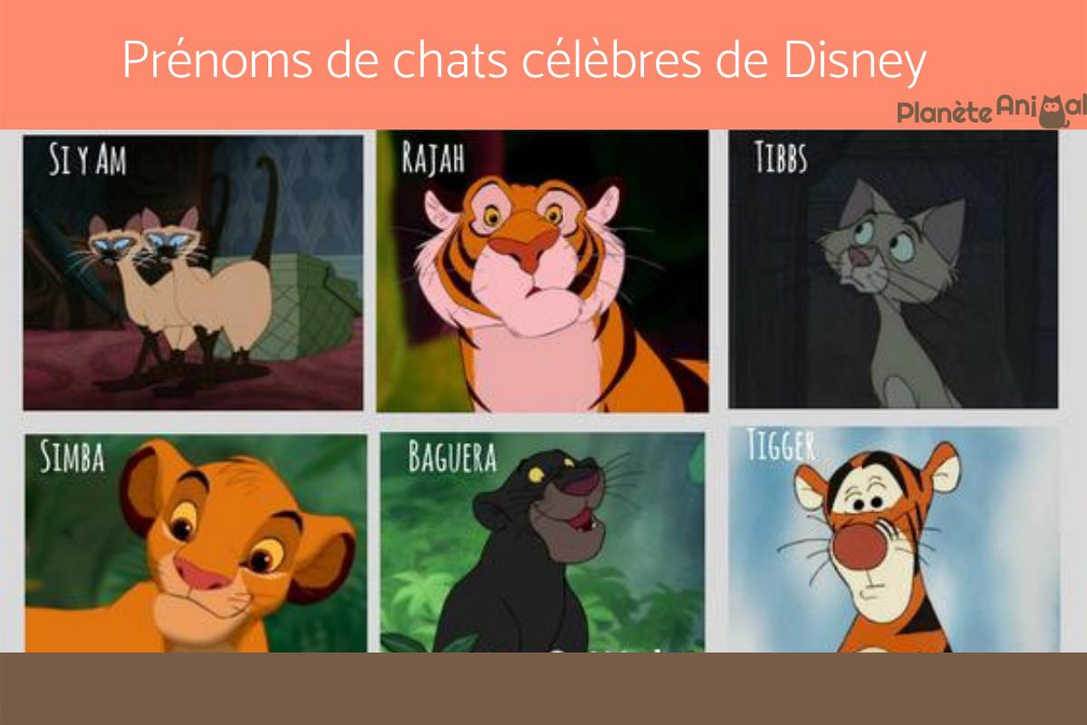 Prenoms De Personnages De Dessins Animés www.planeteanimal.com