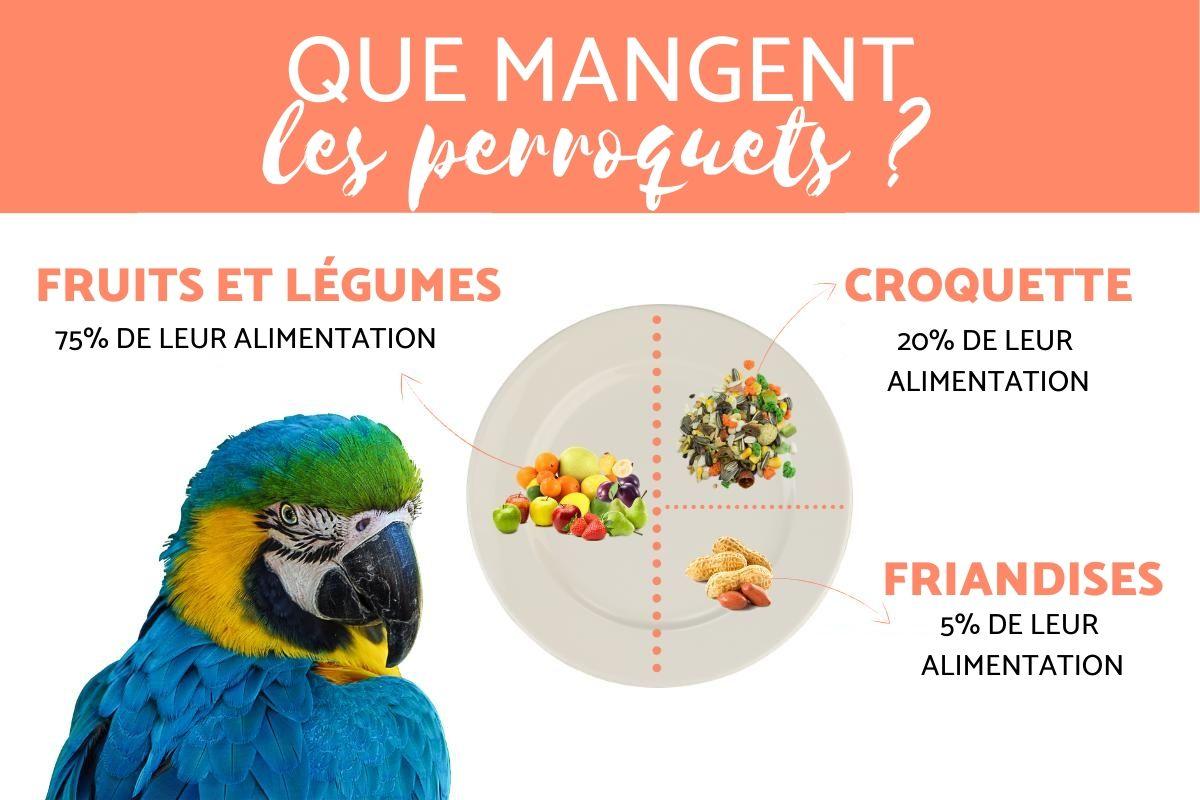 Que mange un perroquet ? - Alimentation du perroquet